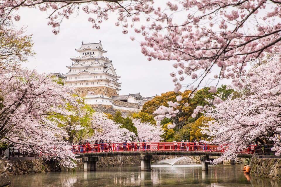 Japón – Una verdadera experiencia turística